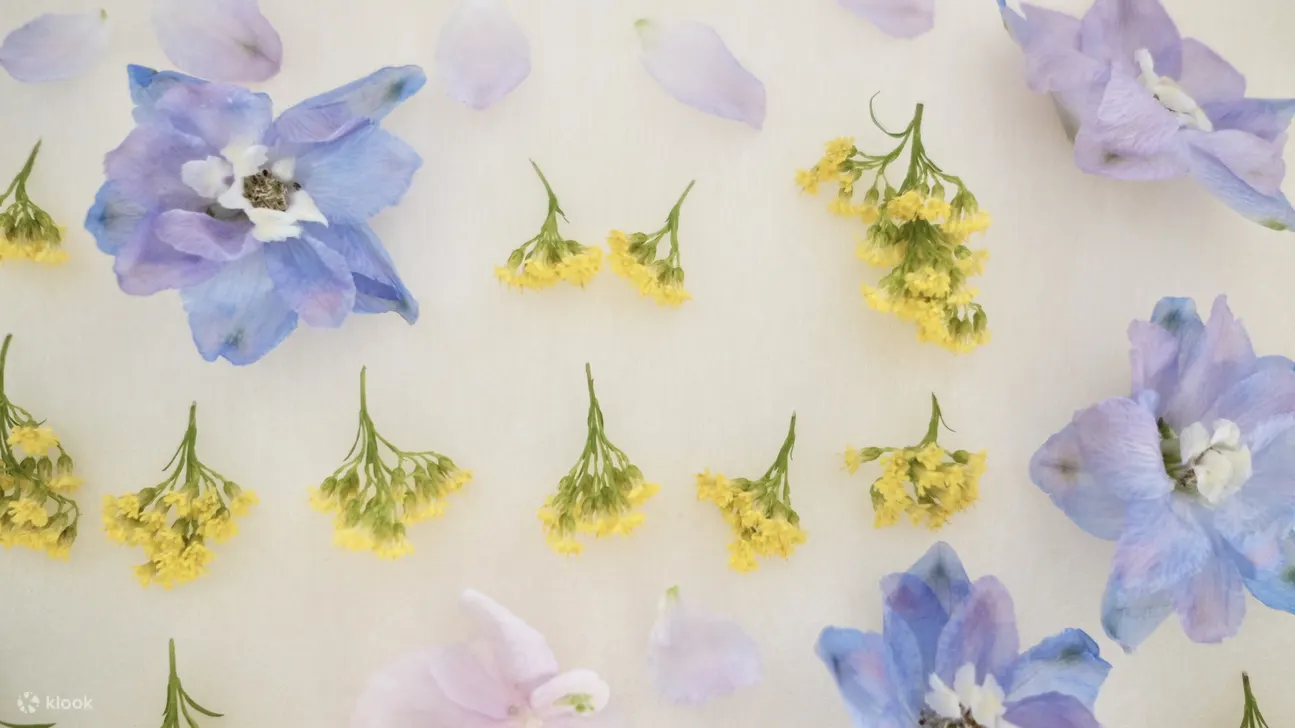 Suet.Fleur, 押花班, 押花