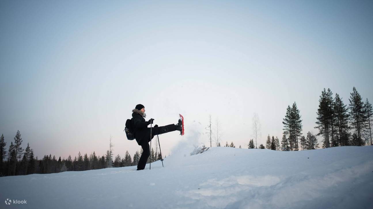 Capture the beauty of the Arctic wilderness with tips from a professional photographer