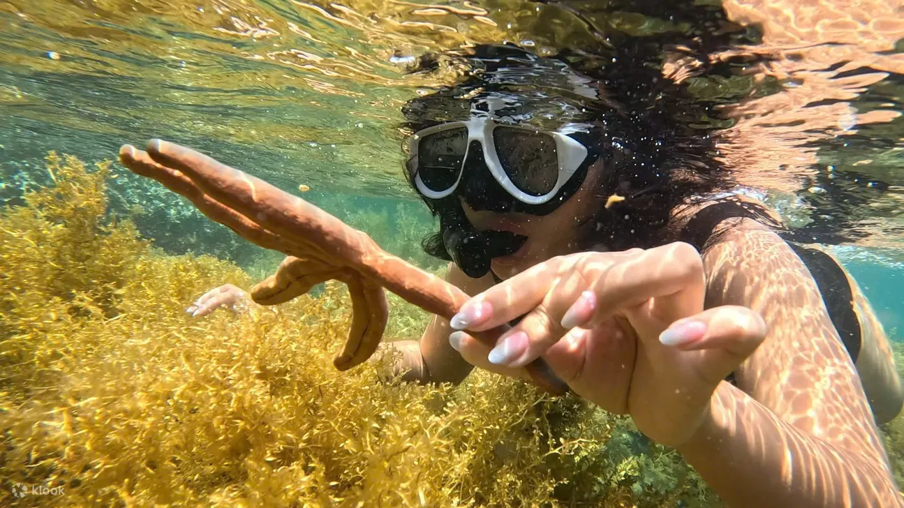 Tour Tiệc Bar Nổi Nha Trang, Bãi Biển Mini và Đảo Hòn Mun
