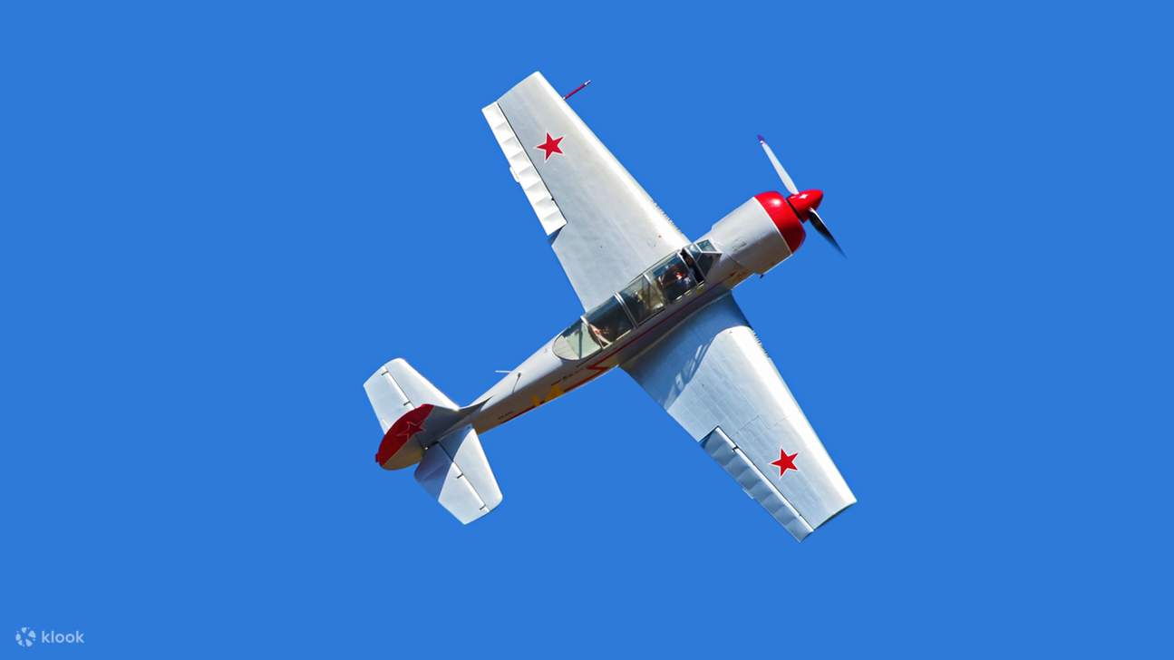 Vol acrobatique en Warbird dans la Hunter Valley