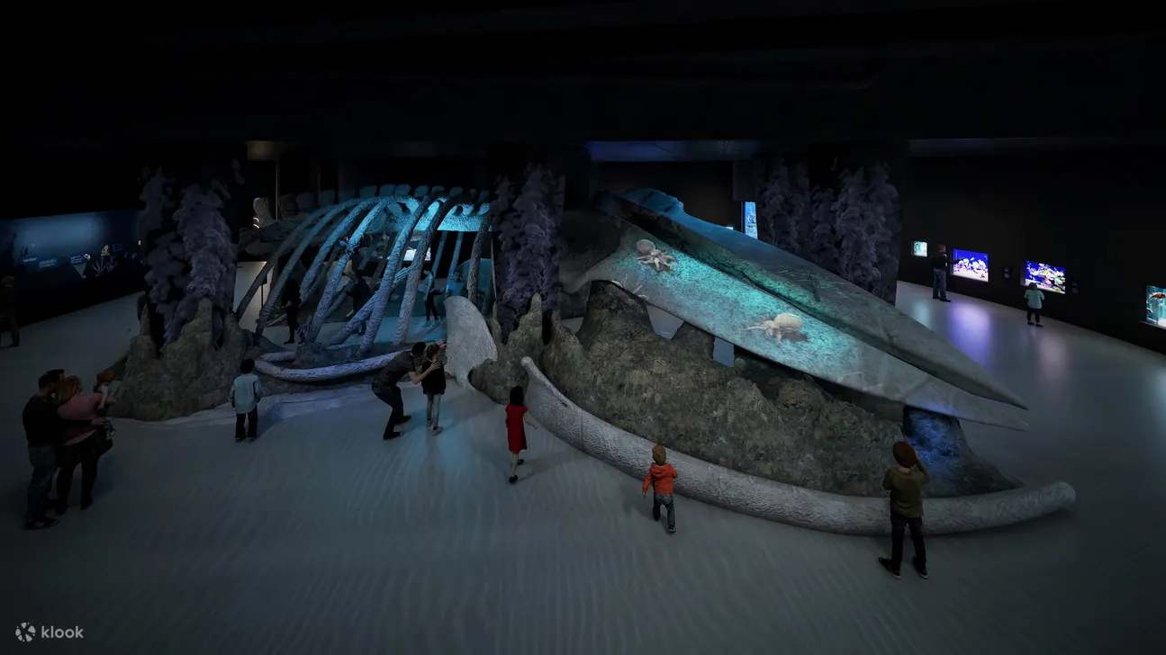 Whale Fall and Sea Mount