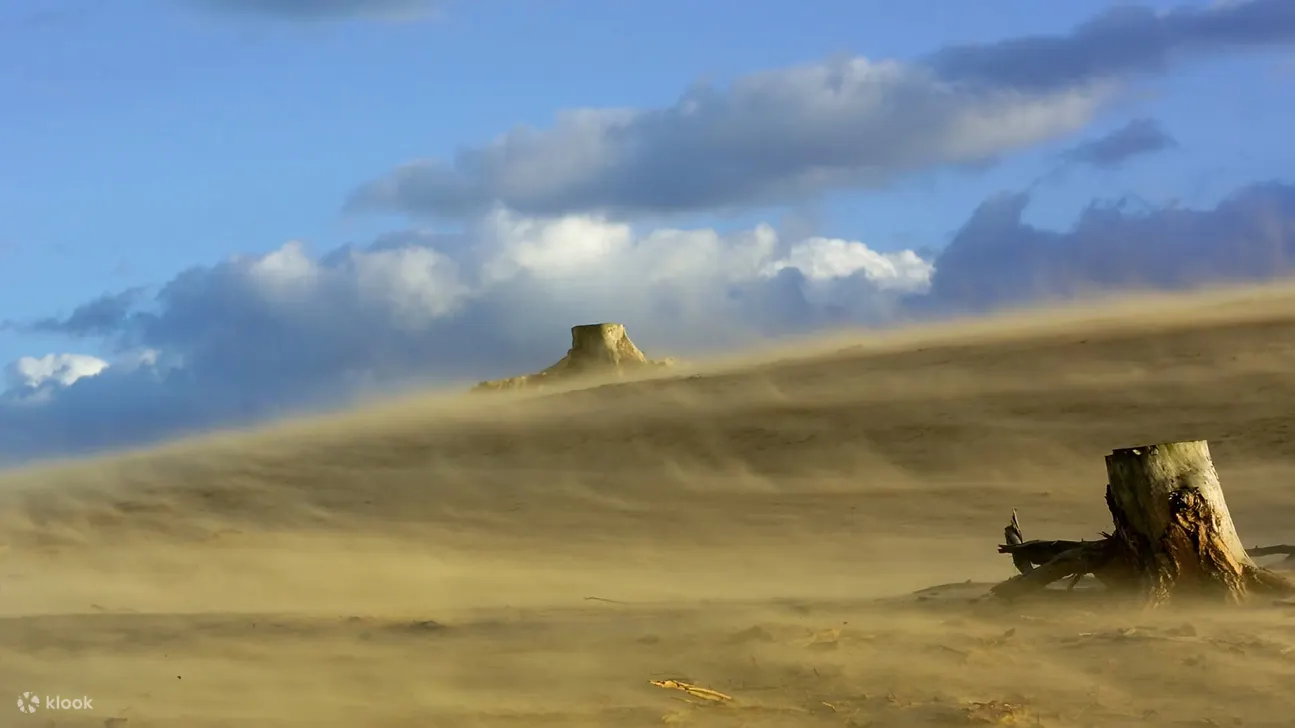 奥特洛梵高国家森林公园门票