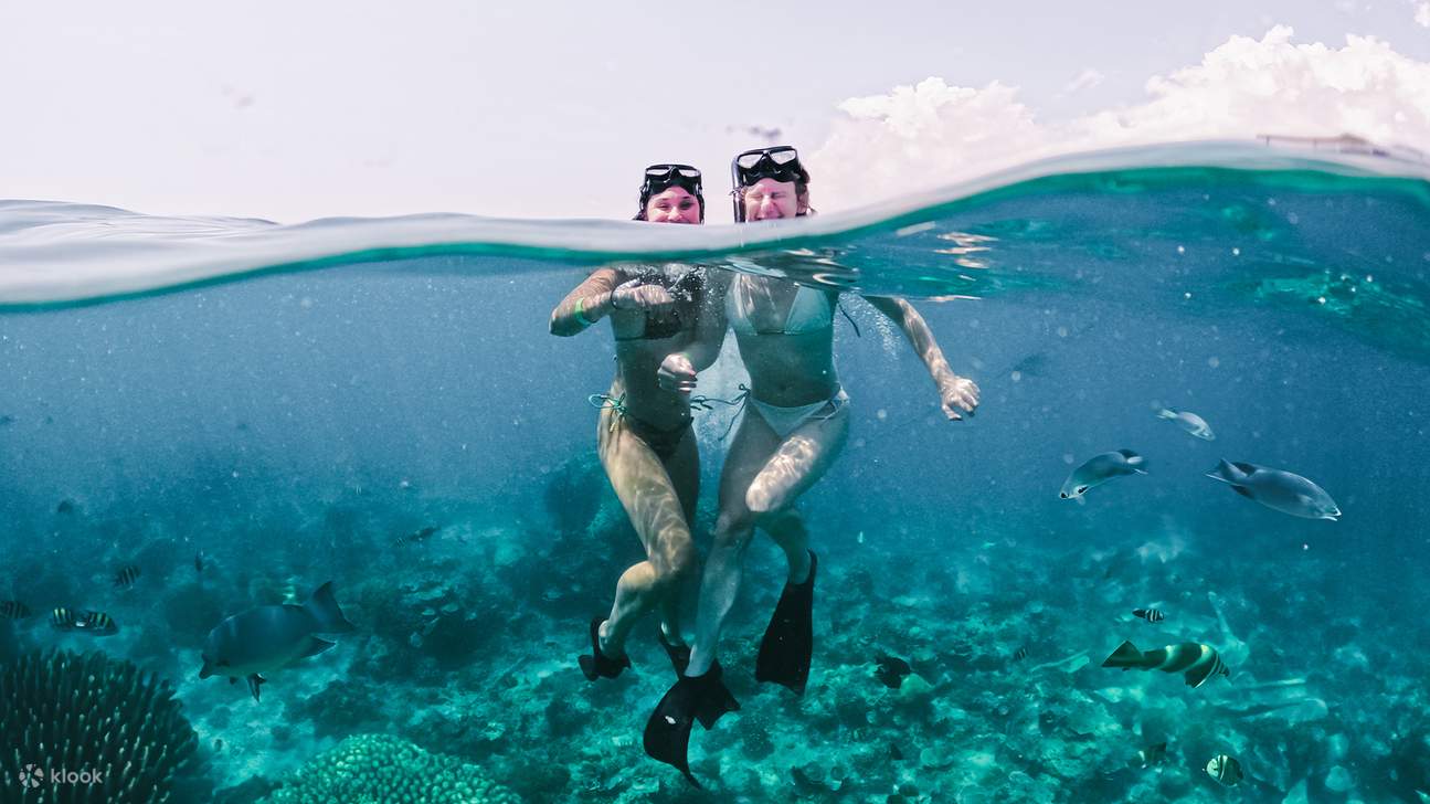 Gili Islands BBQ Cruise Tour mit Gili Hai ab Gili Trawangan