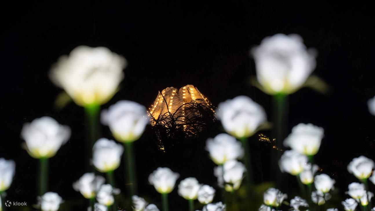 峴港三日月水上樂園門票
