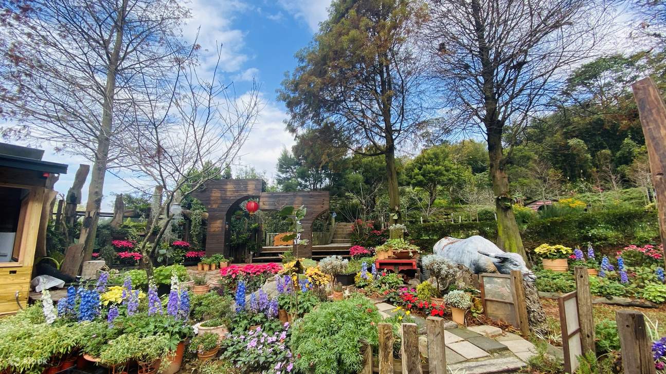 Деревенский сад Нгау Хорн