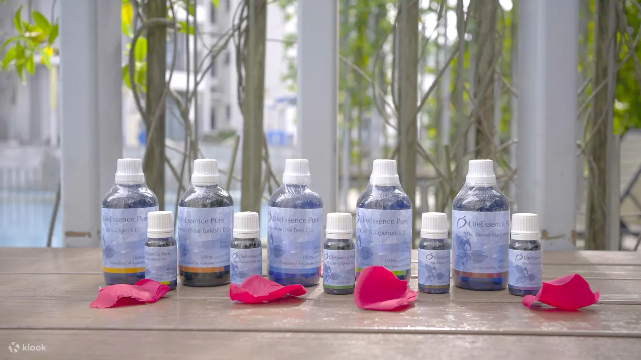 雪兰莪 Wellness Detox 的健康体验