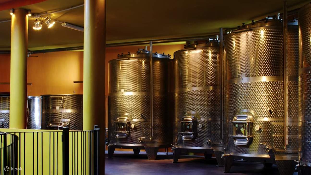 Winery visit and tasting experience in Tenerife by Bodegas Monje