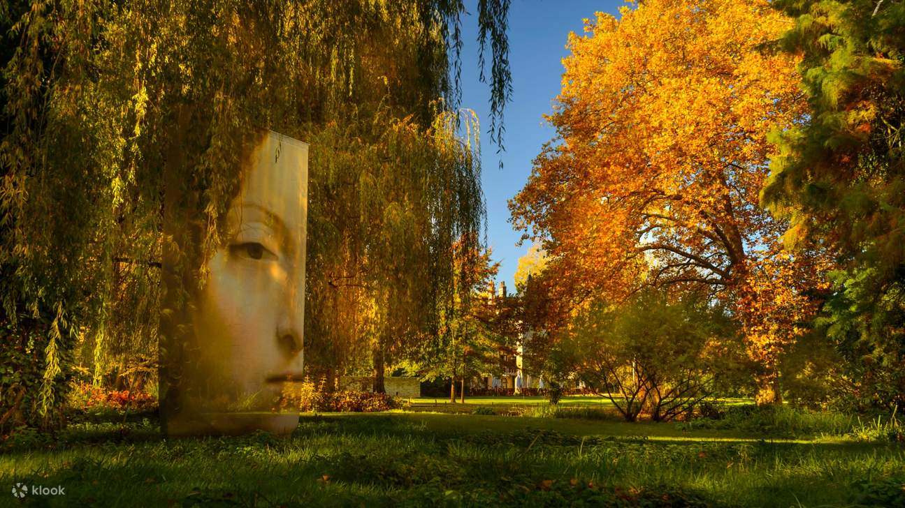 アンボワーズ クロリュセ城 チケット