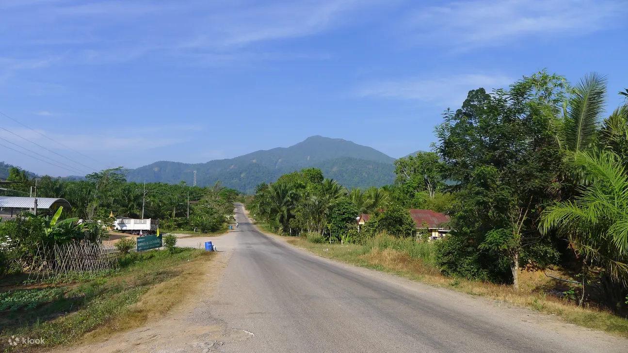 Krabi Elephant Care House