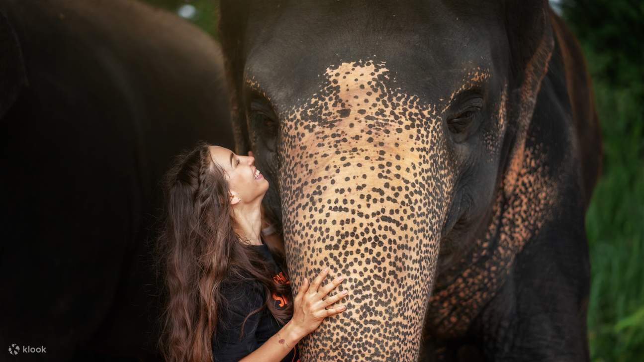 Jalinan Yang Tidak Dapat Dilupakan