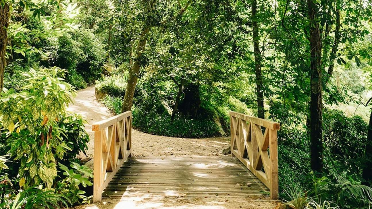 Eine bezaubernde Steinbrücke wölbt sich über üppiges Grün und verbindet Architektur auf wunderschöne Weise mit der Natur.