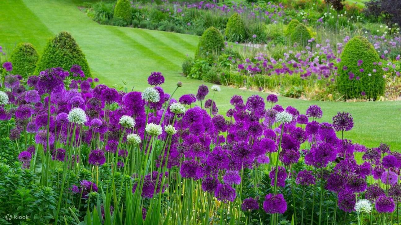 Passeggia tra bordure colorate, ricche di fragranza, consistenza e vita vibrante