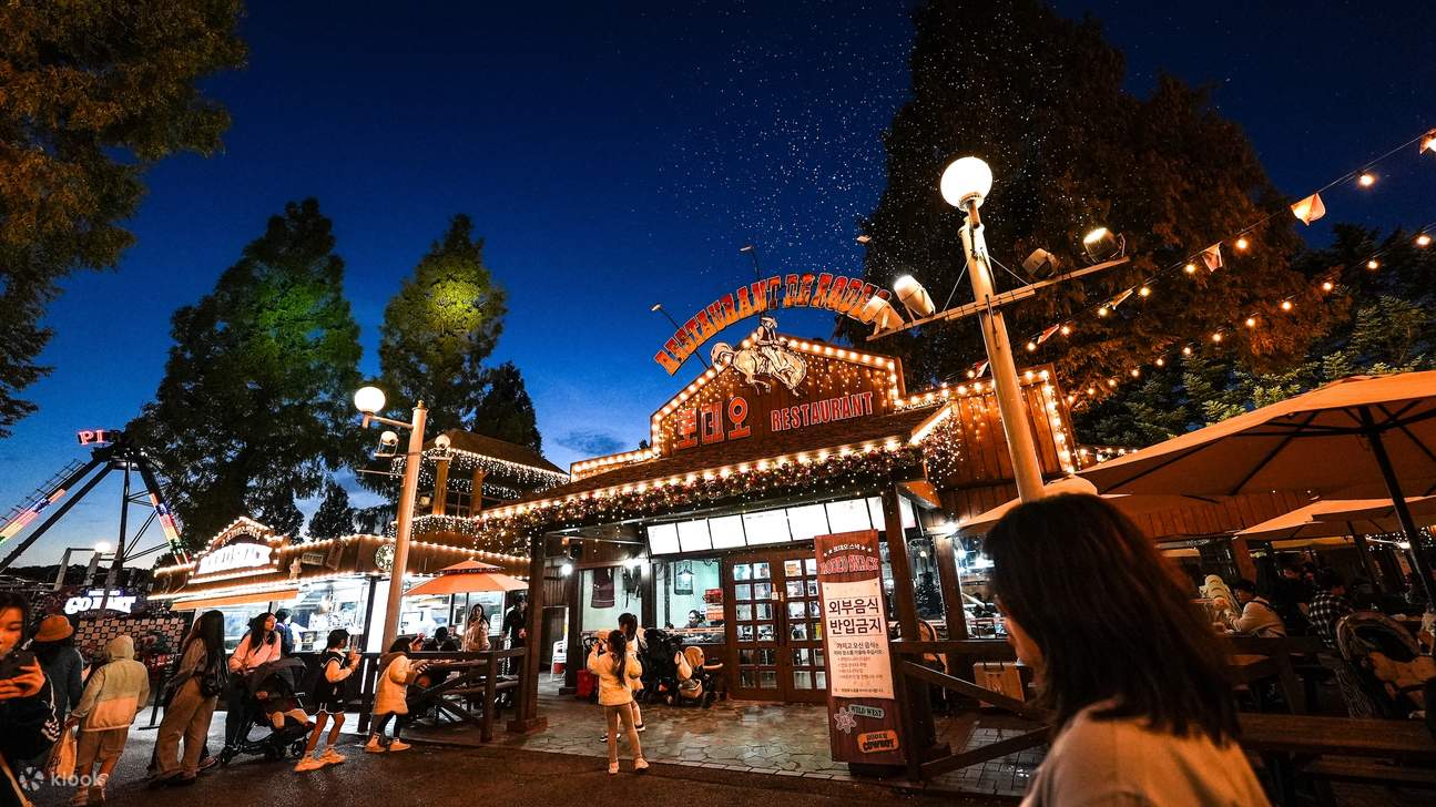 Билет в тематический парк Seoul Land