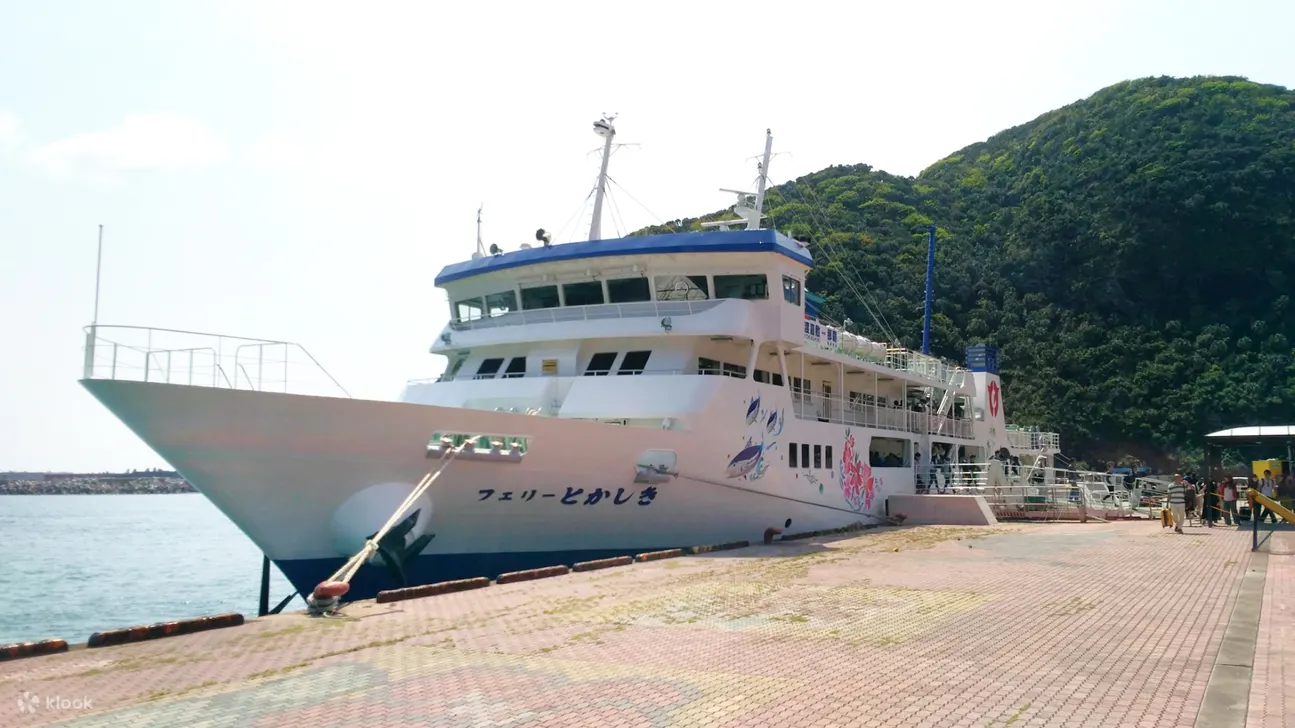 渡轮