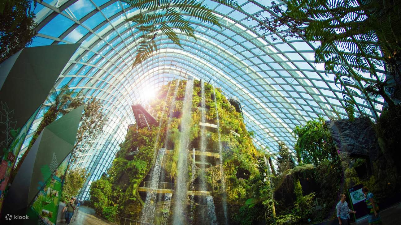 Gardens by the Bay Cloud Forest