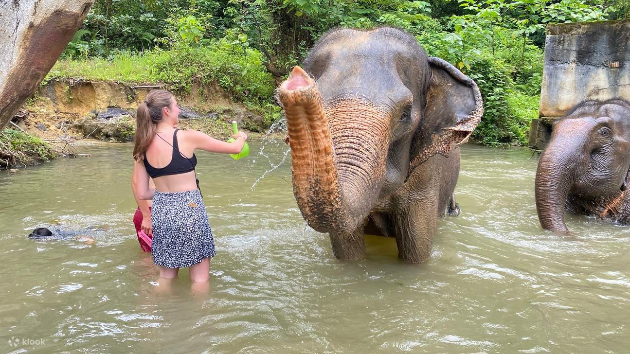 Tour Nửa Ngày Đến Krabi Elephant Care House