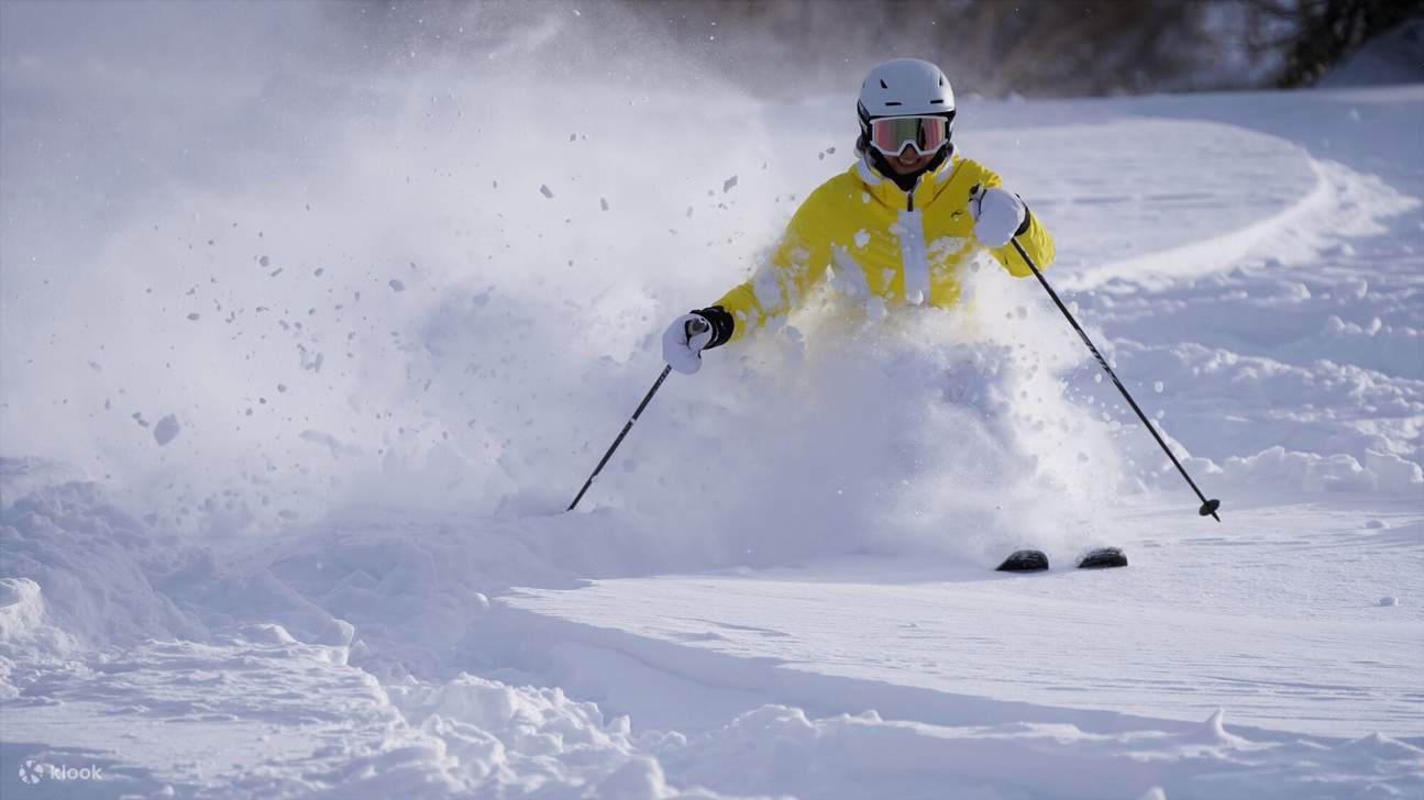 Подходит для начинающих: Идеально для тех, кто впервые встает на лыжи, и для начинающих, которые хотят безопасно и с удовольствием покататься на лыжах.