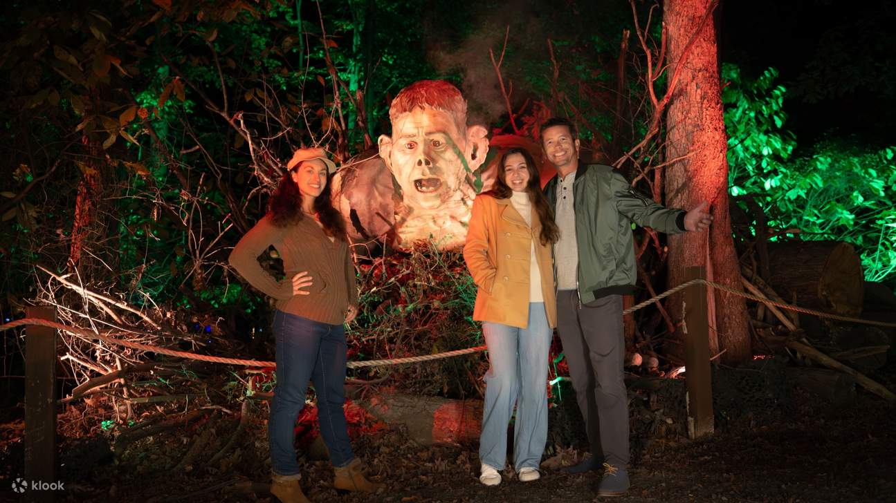 Гарри Поттер: Запретный лес (Шэньчжэнь)