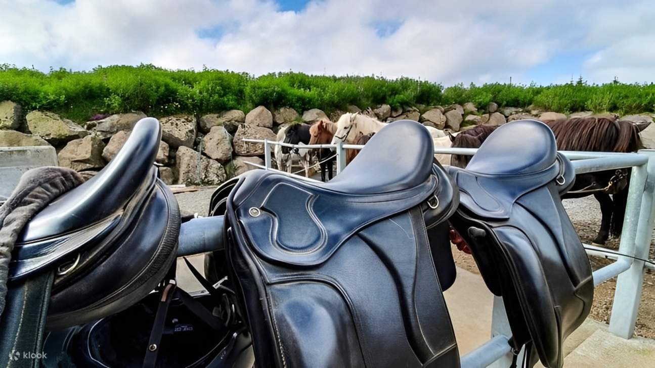 馬鞍已備好，馬兒已等候——一切就緒，開始您的冰島騎行探險之旅