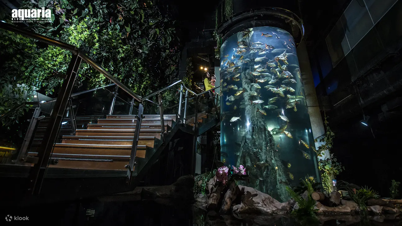 KLCC水族馆楼梯