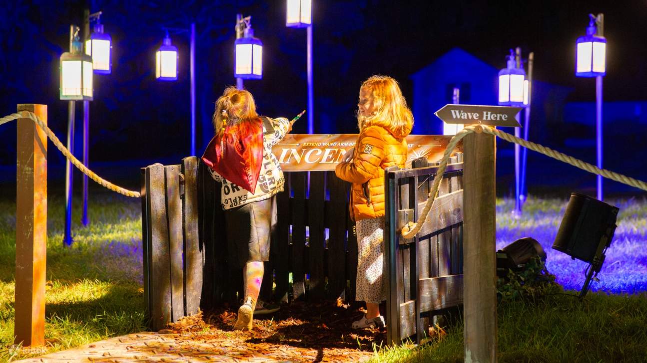 Гарри Поттер: Запретный лес (Шэньчжэнь)