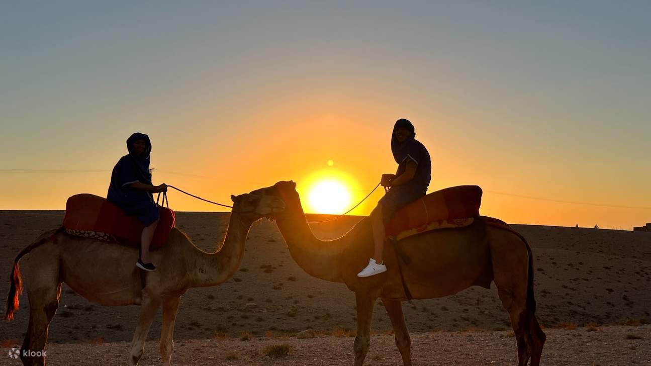 Paseo en Camello por el Desierto de Agafay