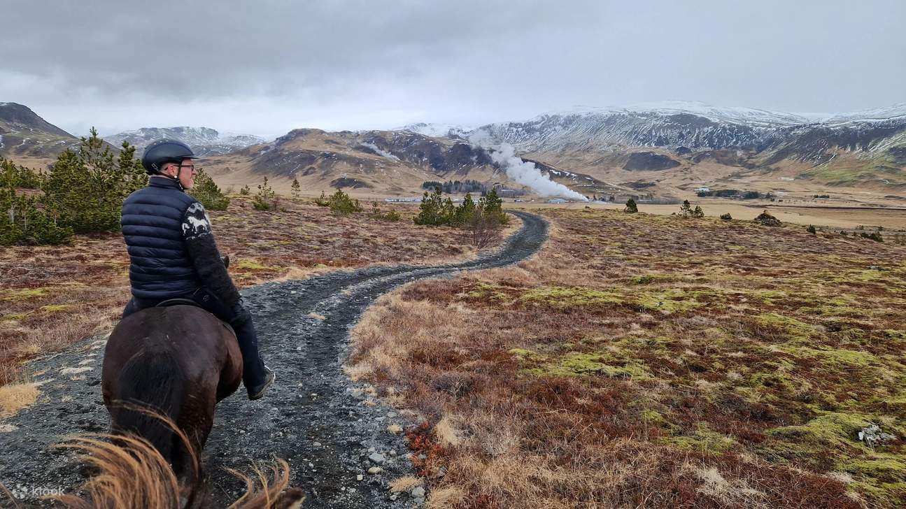 Serpenter à travers la beauté brute de l'Islande à cheval, avec de la vapeur s'élevant au loin devant.