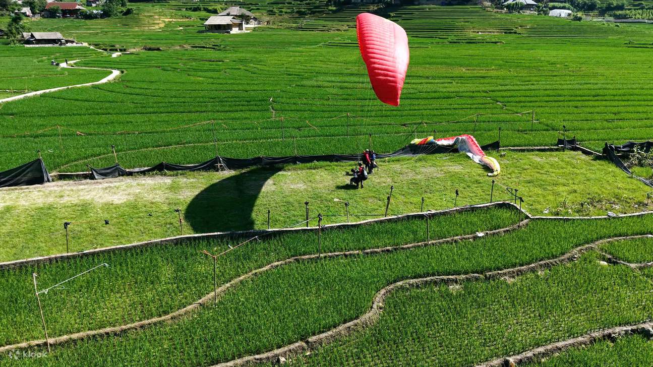 Wings over the rice terraces