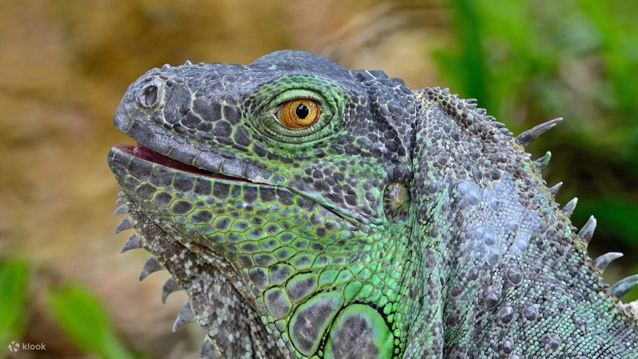 Livorno Aquarium Ticket