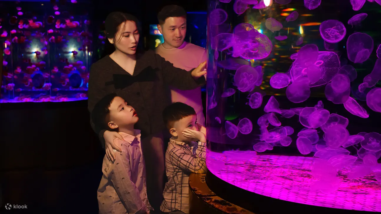 深圳观澜海洋世界门票