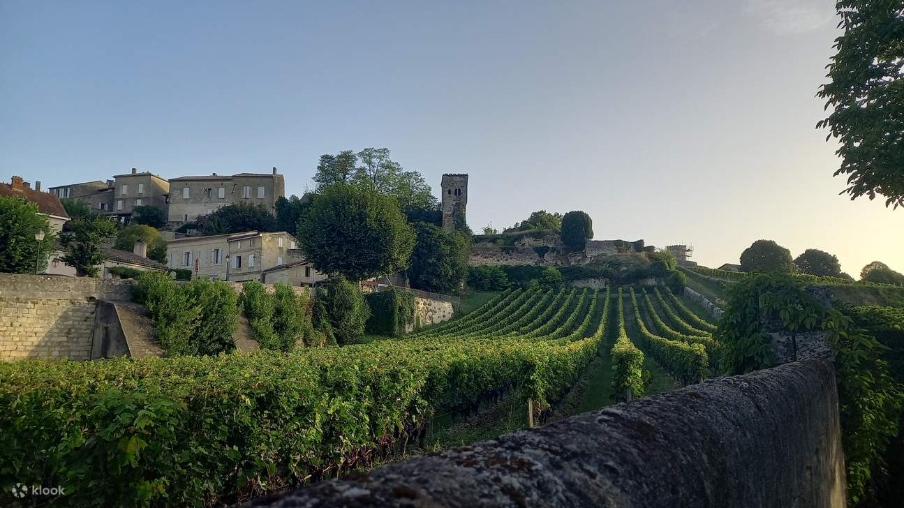 Halfday Tour of SaintEmilion's Monolithic Underground with Wine