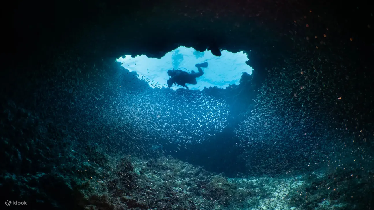终身学习：在哈尼法鲁，潜水员明白教育是一段旅程，而不是目的地 - 透过持续培训，他们可以在海浪下开启新的可能性和冒险