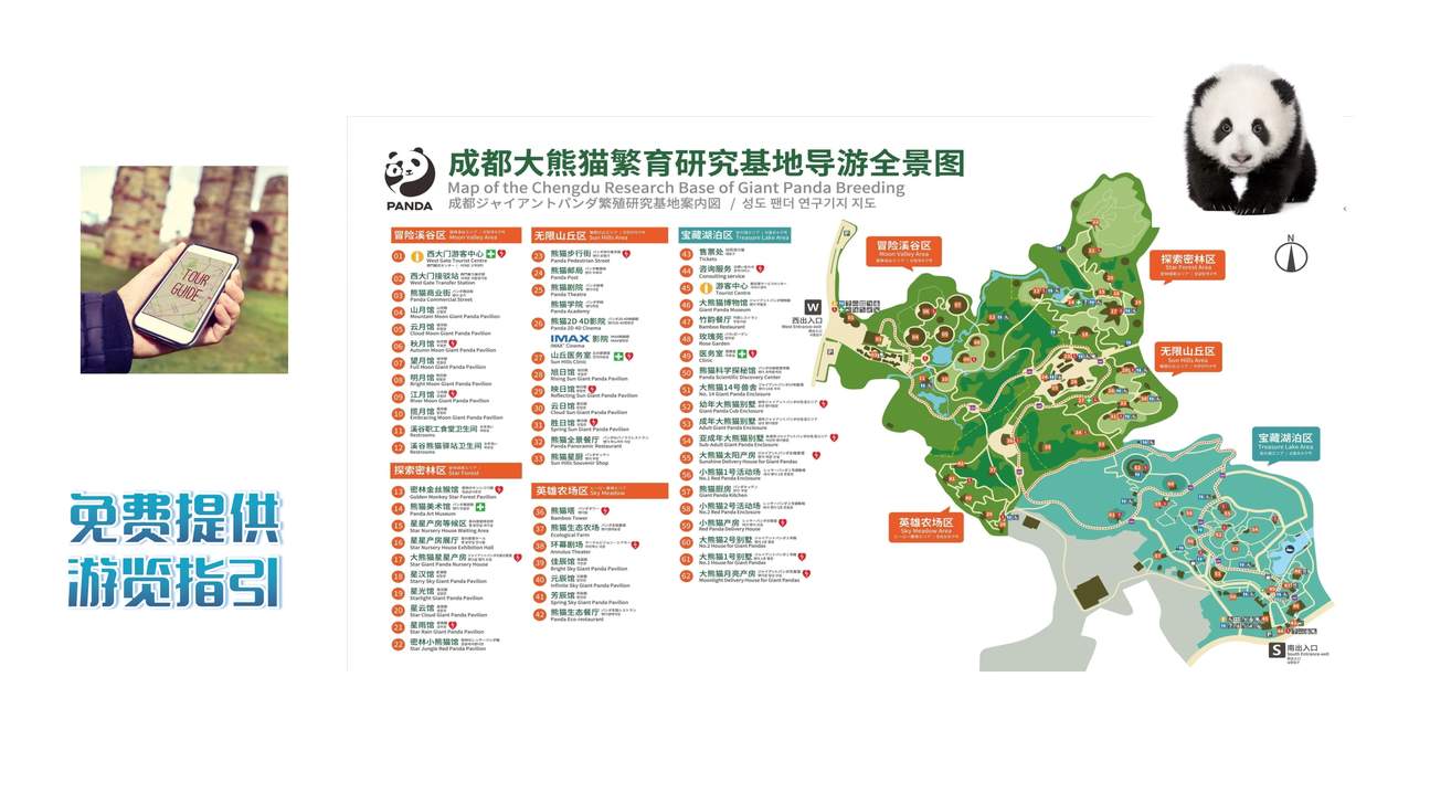 Chengdu Panda Base One-Day Tour - Klook