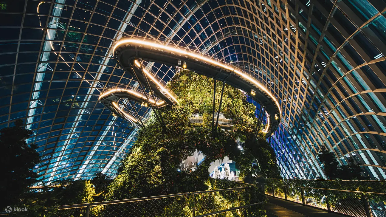 滨海湾花园云雾林夜景