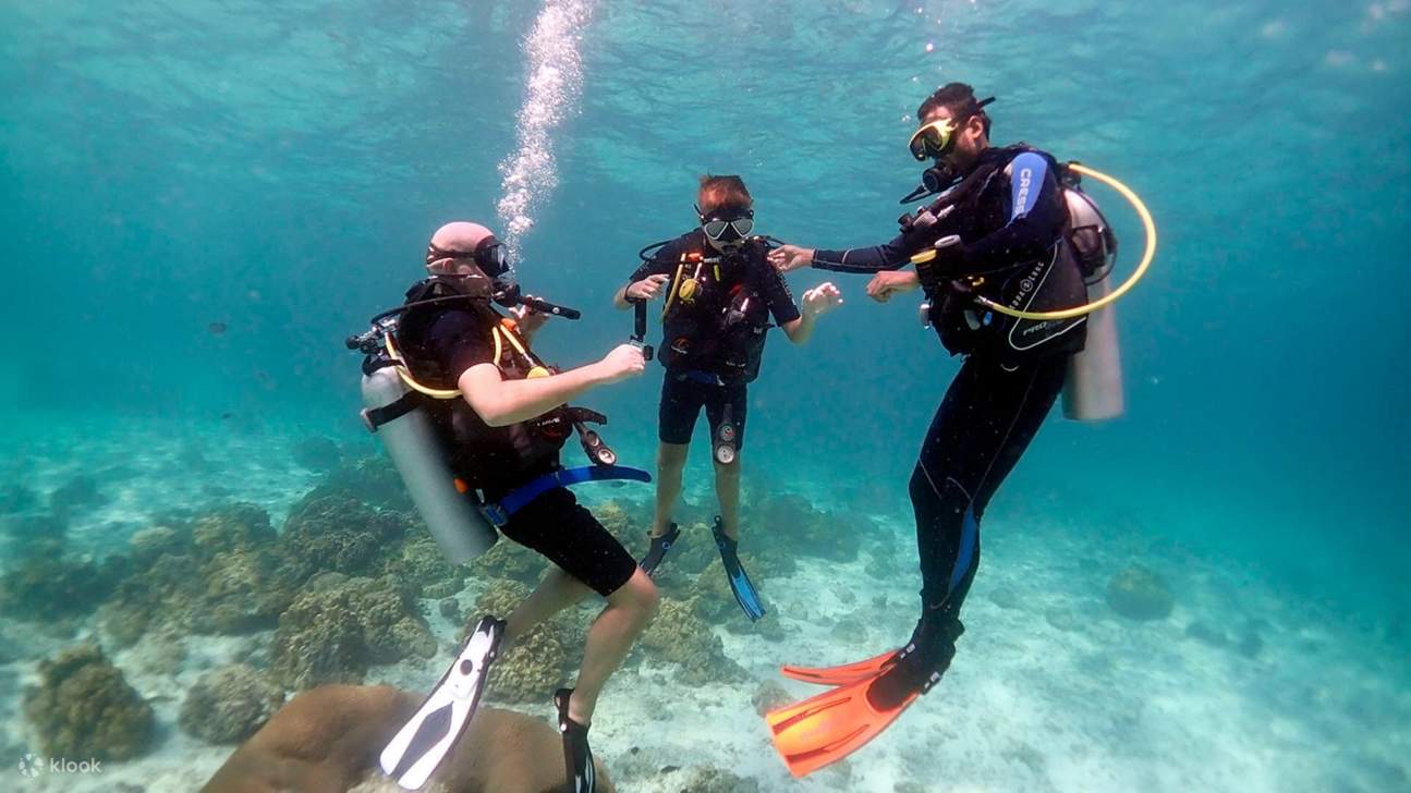 Excursión en barco para principiantes de buceo con almuerzo y traslado - Hurgada