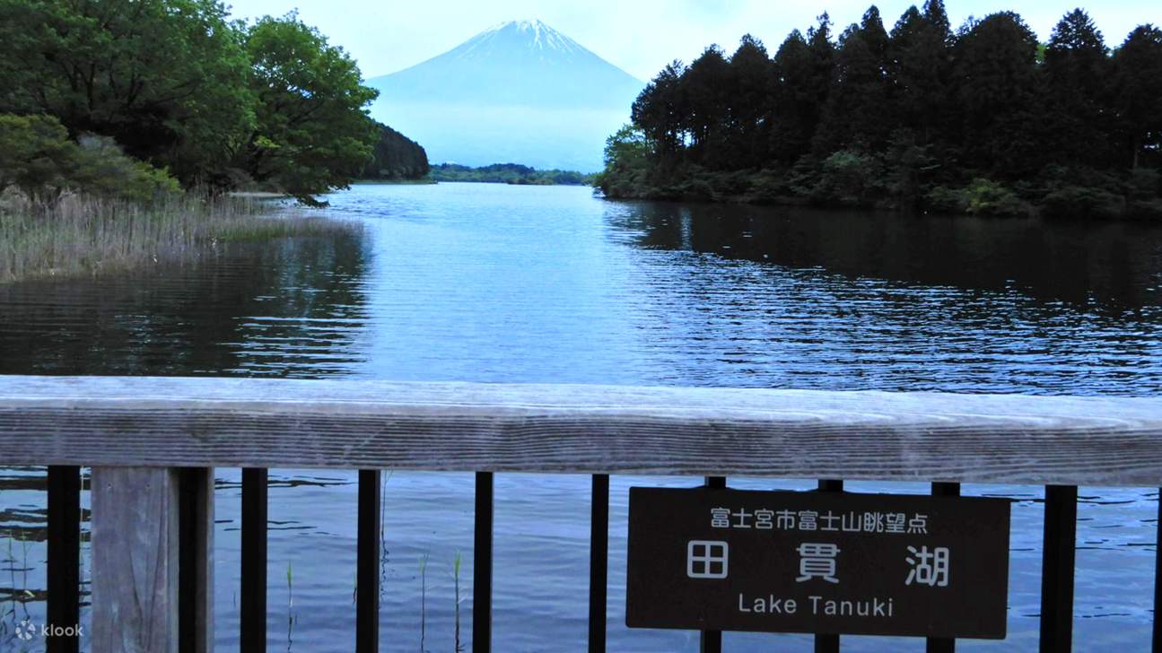 Mount Fuji Internet-Famous Attractions & Makaino Farm & Lake