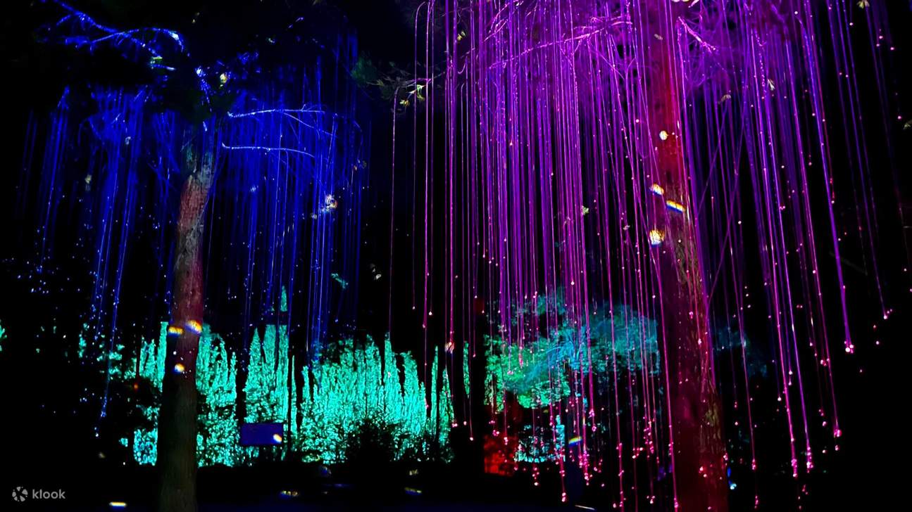 아스트로 매직 라이트