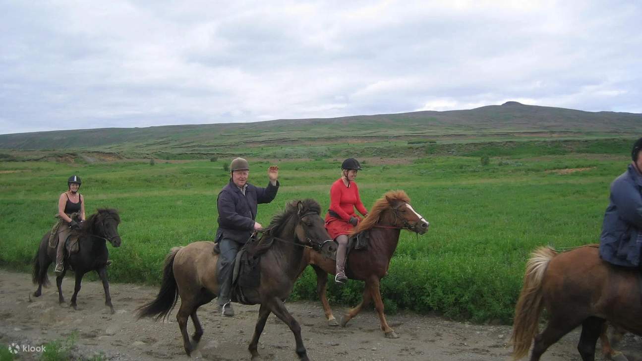 Senyuman, lambaian, dan kemiringan melintasi pedesaan—perjalanan tak terlupakan di jantung hijau Islandia