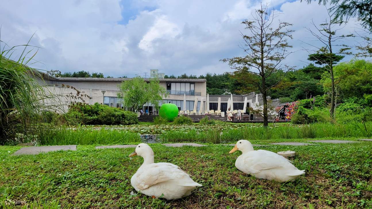 Tiket Museum Jeju Bonte