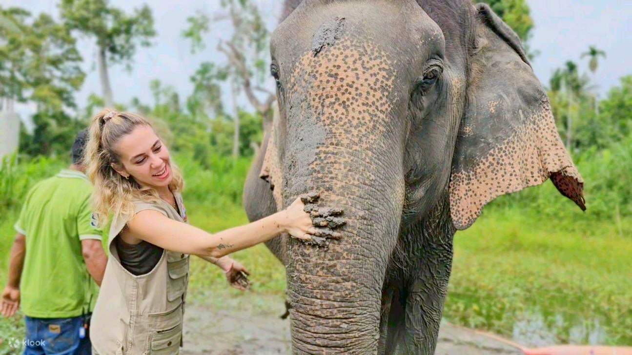 Elephant World Project