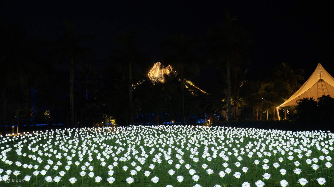 Mikazukis Rosengarten bei Nacht