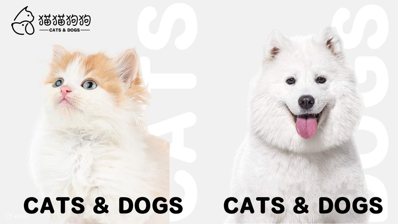 DX-PARK 2.0·地心公園