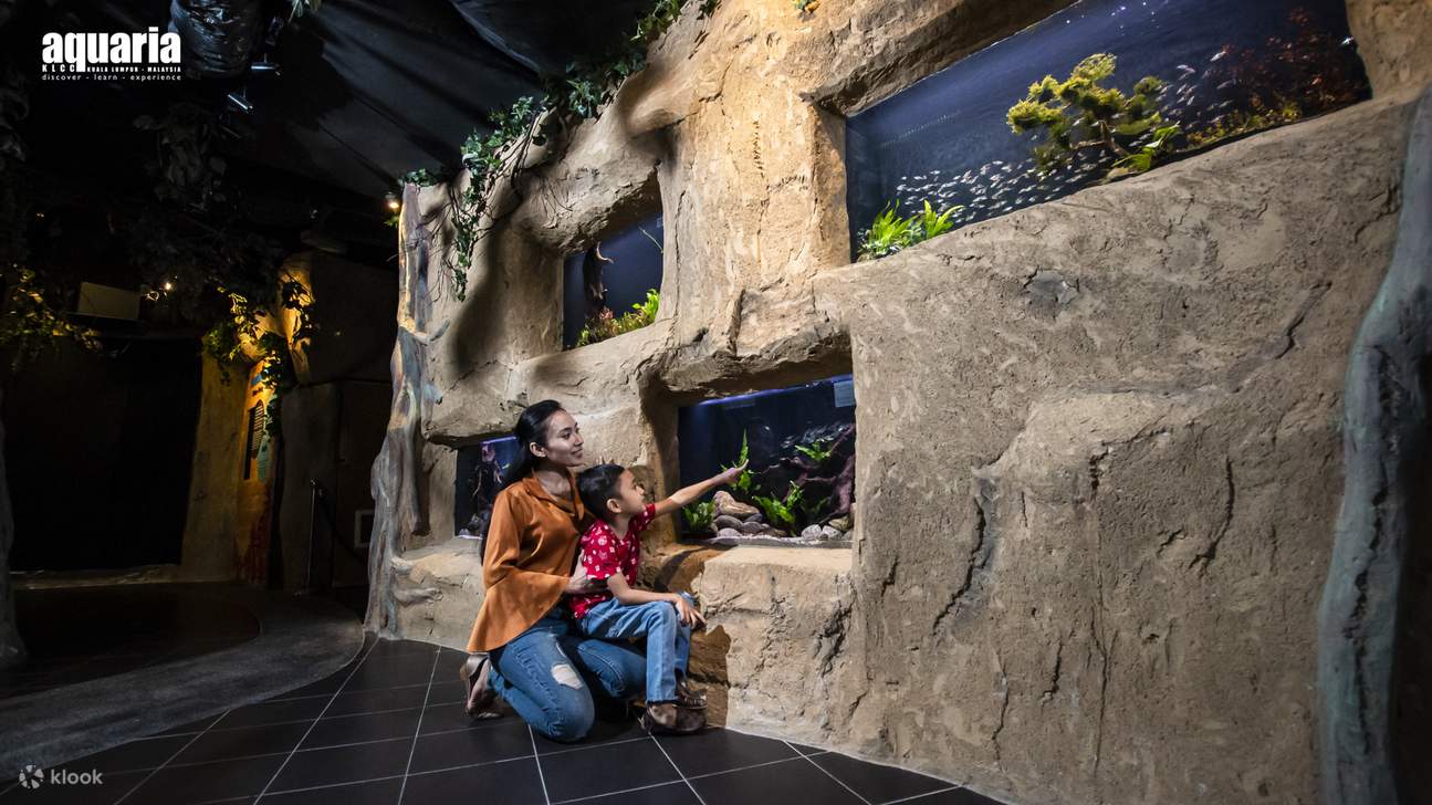 dos personas mirando el acuario en Aquaria KLCC