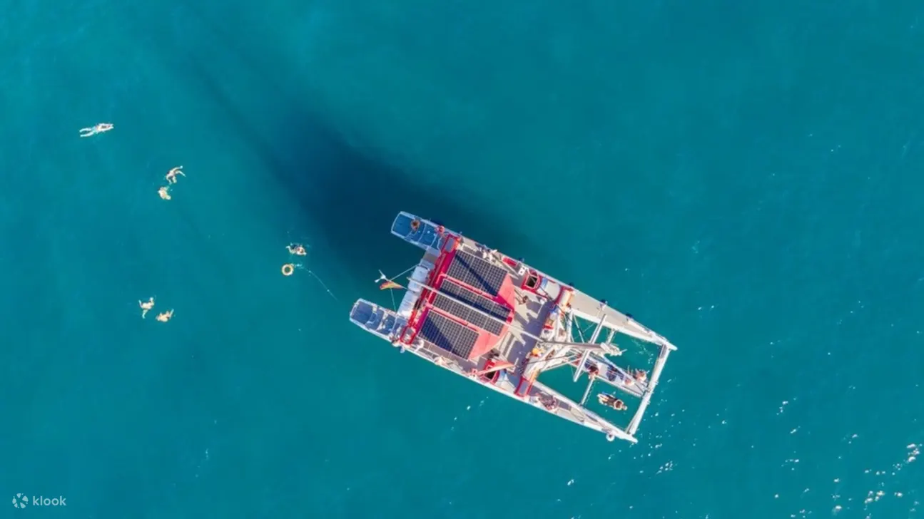 感受清爽的海风，同时观赏附近迷人的海洋生物