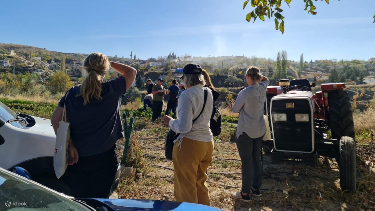 防護服を着て、ミツバチの巣箱が飛び交う魅惑的な世界へ足を踏み入れましょう。