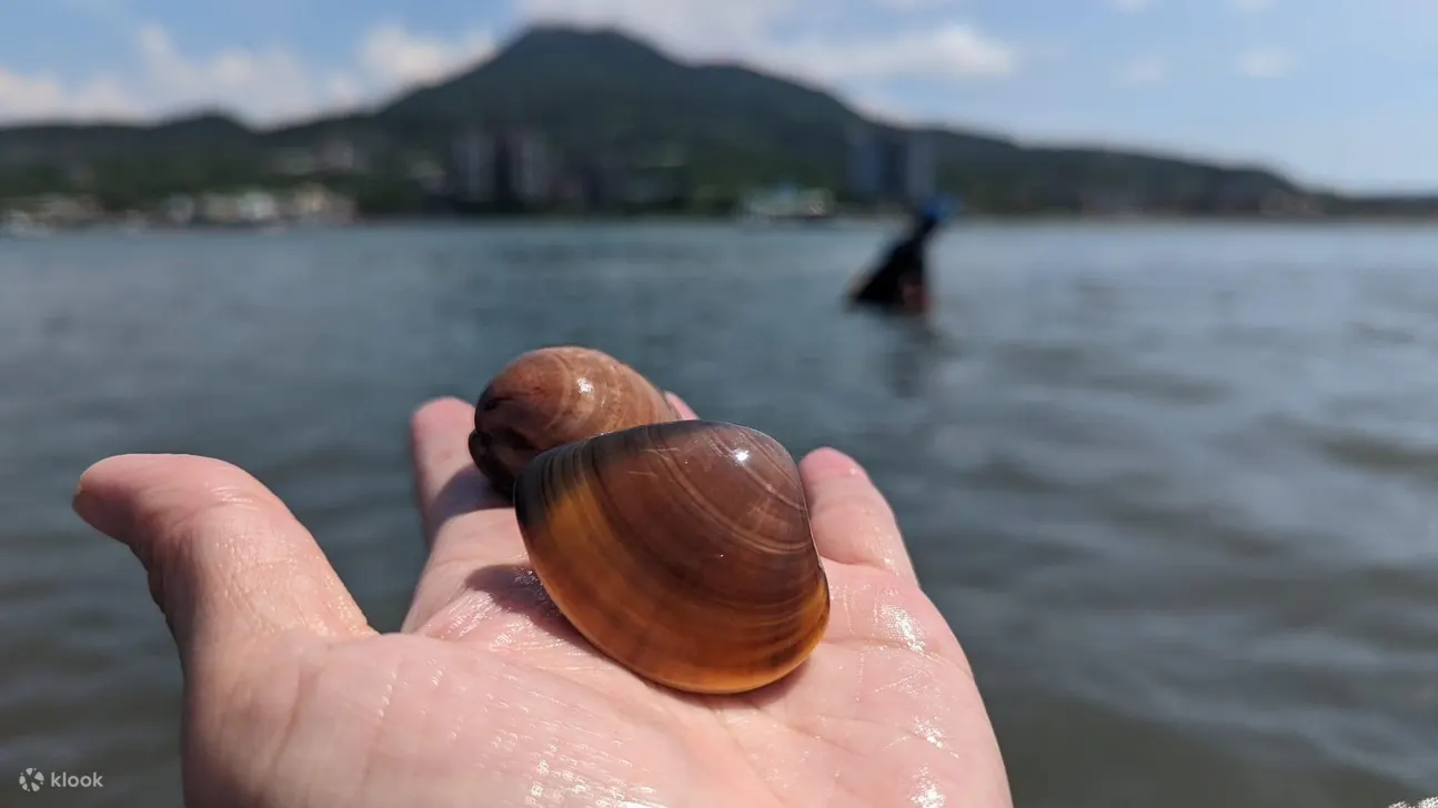 新北八里左岸｜SUP立桨｜沙洲蛤蛎