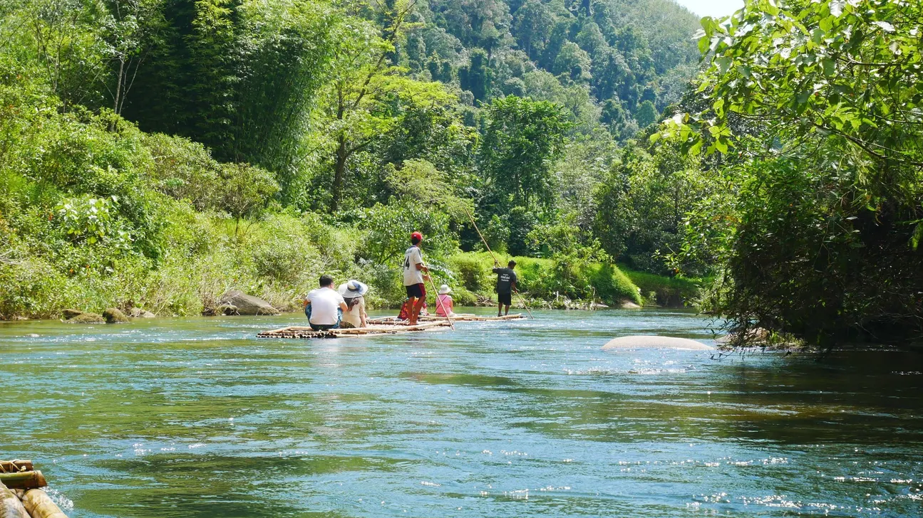 在丛林健行中陶醉于令人惊叹的景色和风景。