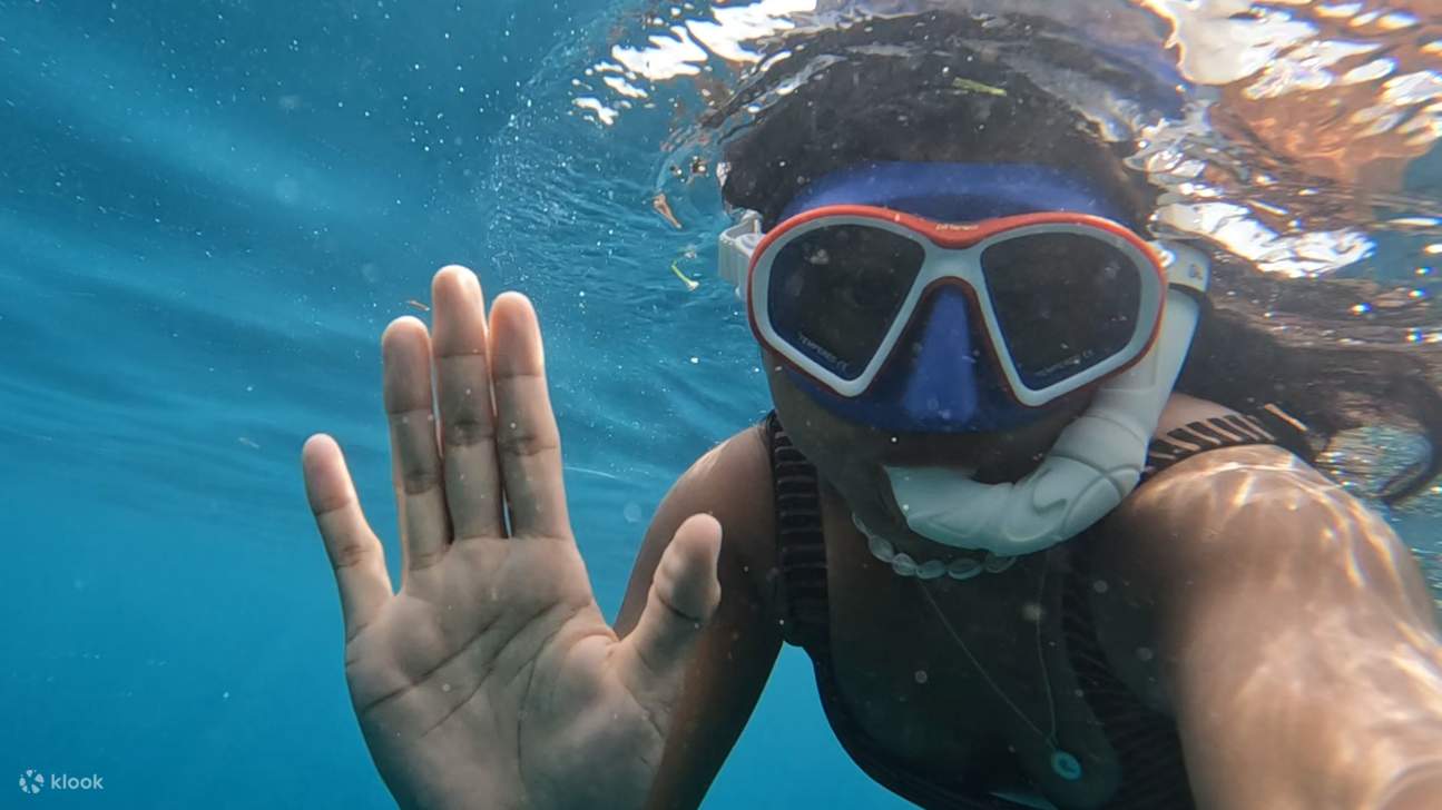 Zum x-ten Mal schnorcheln! Ich beschwere mich nicht!