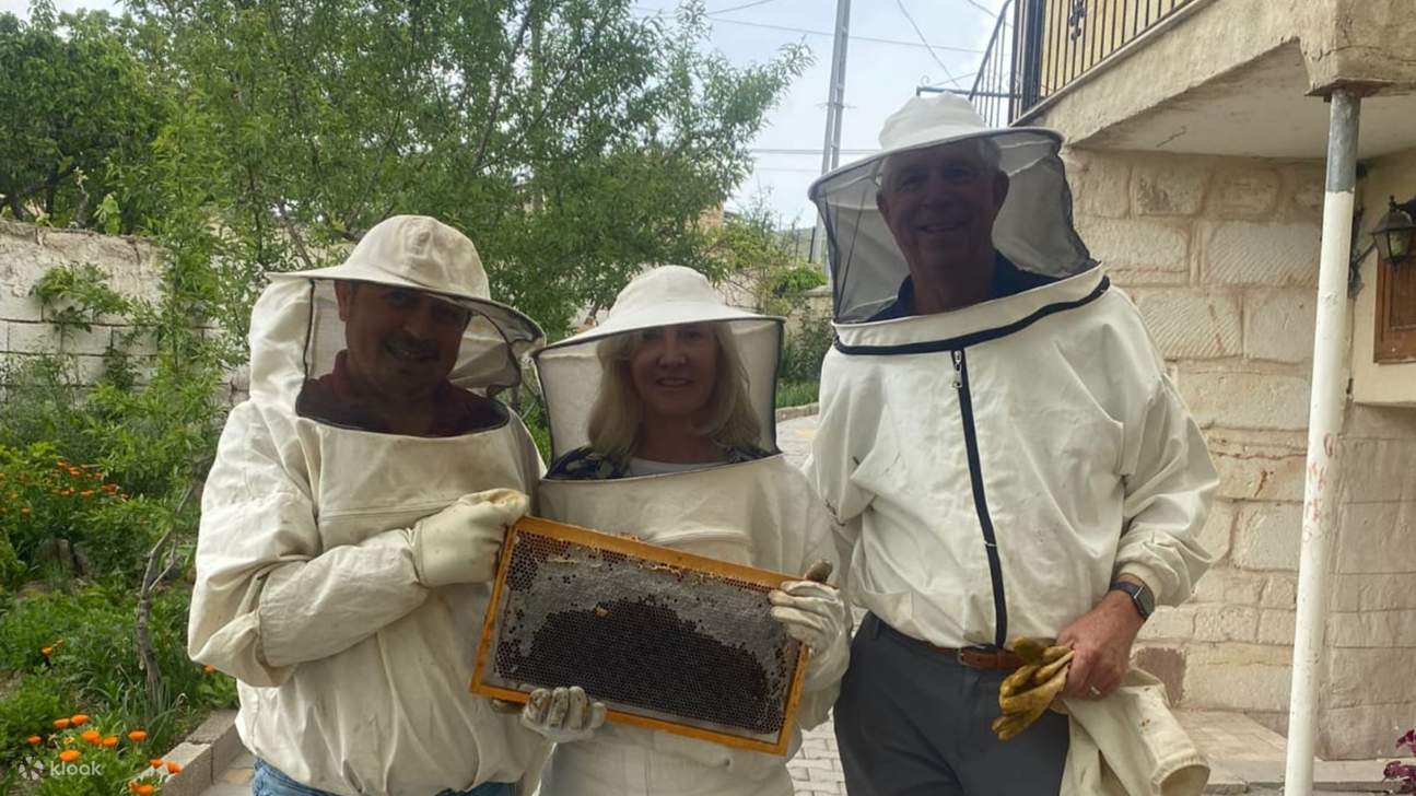 ミツバチが複雑な六角形のワックス状の巣を作る様子をじっくり観察