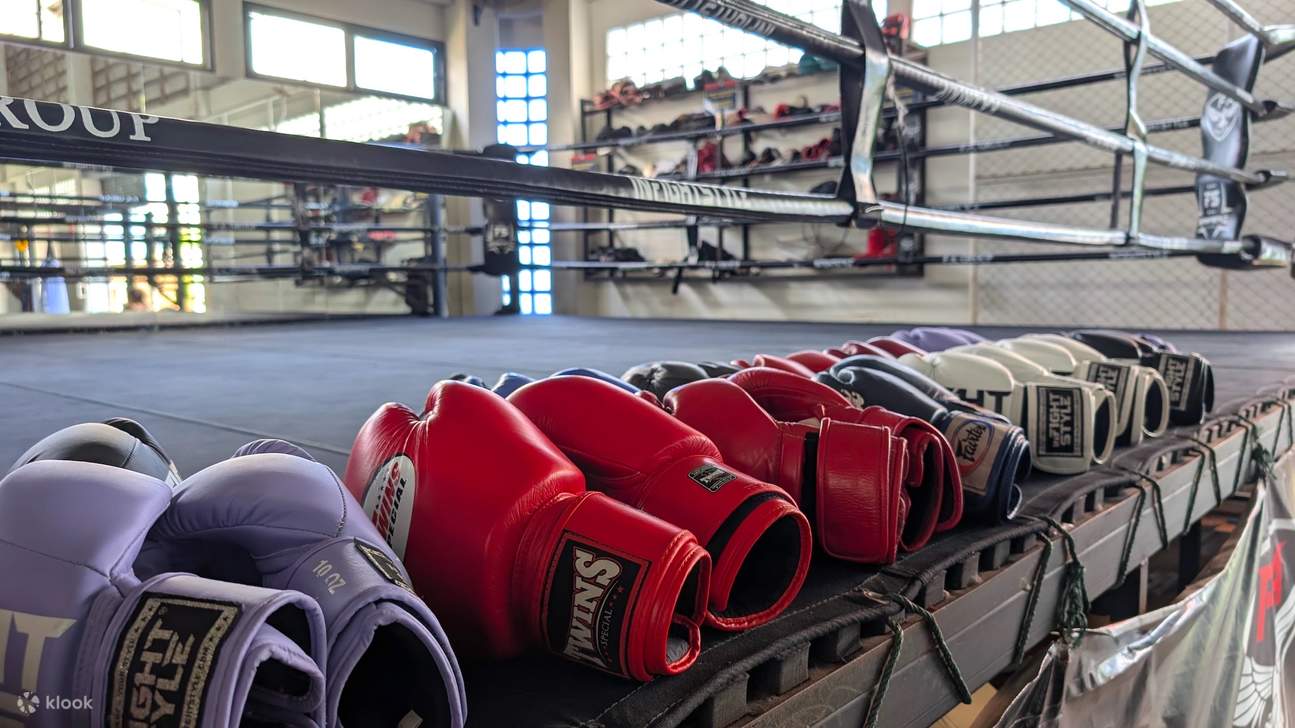 Para peserta baru pasti akan menikmati kelas pengenalan, di mana mereka akan mempelajari maklumat asas tentang kelas serta semua teknik yang betul yang akan mempersiapkan anda untuk gerakan yang lebih maju pada masa hadapan.